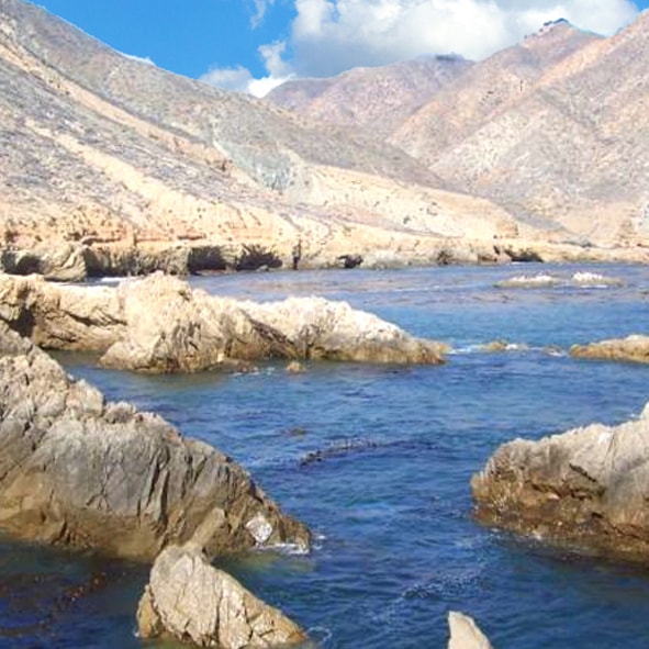 Explorar la Isla de Cedros –BAJA CALIFORNIA, MARAVILLAS NATUALES